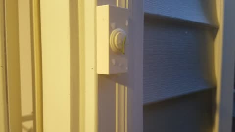 Praying Mantis wakes up household by ringing doorbell