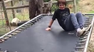 Collab copyright protection - black grey trampoline breaks