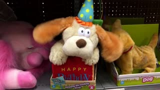 Happy Birthday Singing Dog Toy