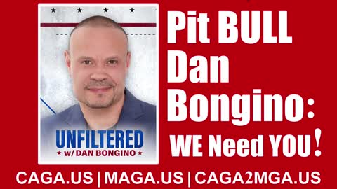 WE Need Pitt BULL Daniel Bongino On Our TEAM!