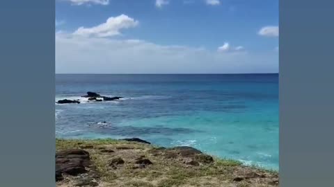 Scenic ocean views in Hawaii