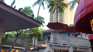 CJ's Deli Bustling Happy Hour Afternoon Tropical Breeze, Waikiki