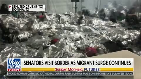 Ted Cruz: Donna migrant facility is at 1500% capacity and media is silent