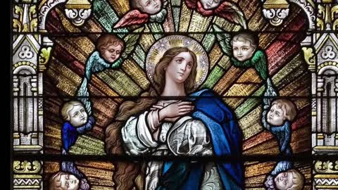 Solemnity of the Immaculate Conception Homily Fr. Michael Goodyear