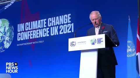 Charles:Vast Military-Style Campaign Needed To Marshall Private Sector To Fight Climate Change