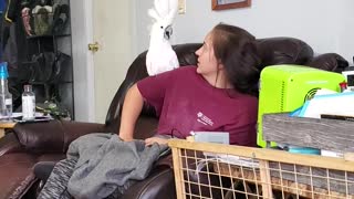 Girl Does Duet With With Cockatoo