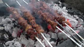 Picnic Grilled Meat