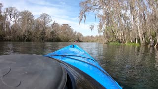 Silver Springs with Merle