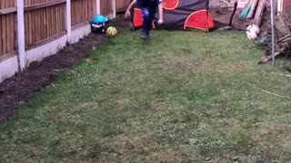 Little kid reenacts Gylfi Siggurdson's amazing goal against West Ham