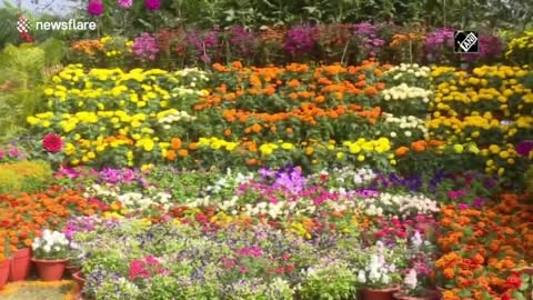 East Indian city holds flower show themed COVID vaccination drive