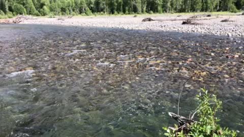 Pacific Creek, WY