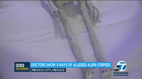 UFO remains: Mexico scientists release new video of 'mummified alien' corpse x-rays