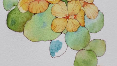 Watercolor course: how to draw nasturtium, the content is detailed, come and learn