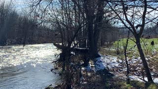 North Elkhorn Creek in Peaks Mill, KY