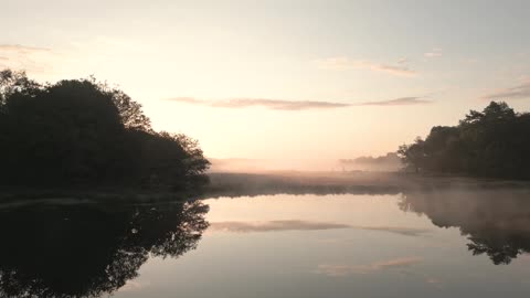 Morning fog national park