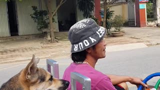 Doggo Pushes It's Person Down the Road