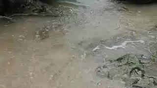 the beach with the beauty of the stones beside it