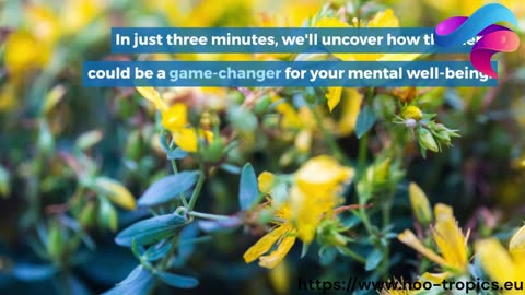 Unlocking the Power of St. John's Wort: A Natural Solution for Depression and Anxiety