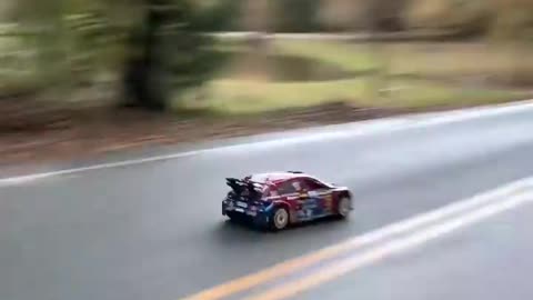 Very cool Rally RC car"the sound is very seductive"