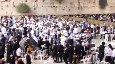 cultures from around the world - Jews pray at the Western Wall Selichot prayers 3