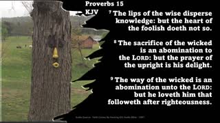 Proverbs 15