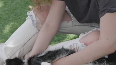 Meet the Gizmo bundle | so cute pet | animal love | pet lovers
