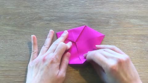 Easy Origami Flower / Origami Lotus