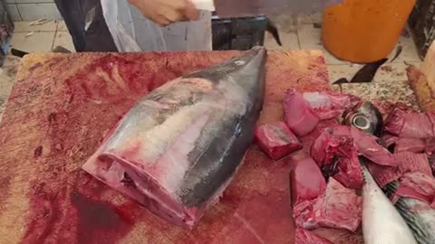 10KG/$100 Tuna Filleting by 5 Minute|| Fastest Tuna Filleting Skills|| Professional Tuna Cutting Men