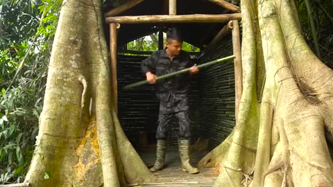 Build Shelter Under a 1000 Year Old Tree. Survive With Rain, Sun and Wind - Bushcraft Alone