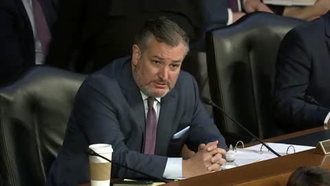 Ted Cruz drags Paul Abbate FBI deputy director over the coals...