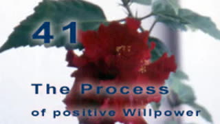 The Positive Process - Chapter 41. Conclusion