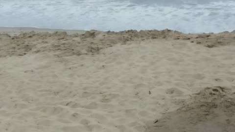 Newport Beach beaches lose massive amounts of sand from all the storms