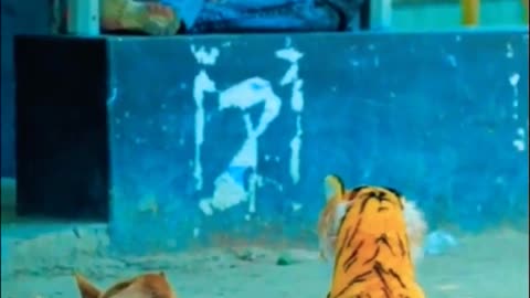😂😂😂😂Fake tiger vs dog prank video/ viral funny animal video 😂😂😂