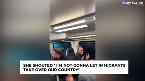 TheDC Shorts - Woman Goes Viral After She Berates German Tourists During Train Ride