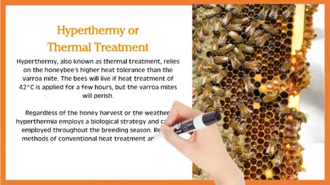 Heat Treatment for Varroa Mites