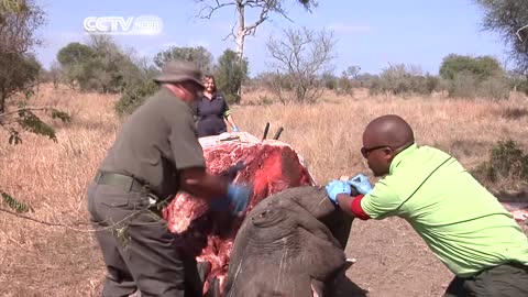 South Africa’s Kruger National Park Faces Challenges on Poachers