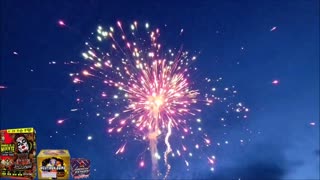 $60 Fireworks Display !