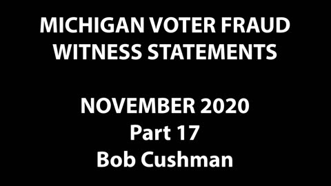 2020 Election - MI Voter Fraud Witness Bob Cushman Explains Structural Problems With Voting System