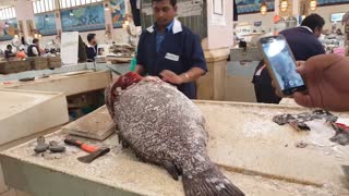 Amazing Hamour Fish Slice - 59 KG Huge Hamour Fish Cutting in Very Biggest Fish Market
