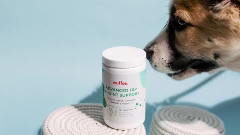 Pet owners rush to buy joint supplements for their dogs to ease pain and stiffness