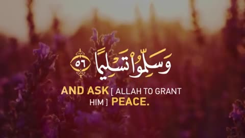 Peaceful Quran Recitation