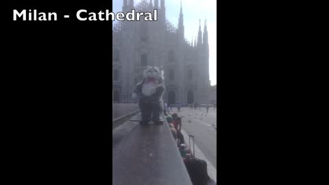 Man brings 'dancing cat' on European vacation