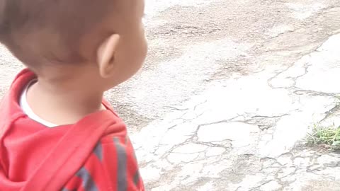 Little cat and little kid funny video