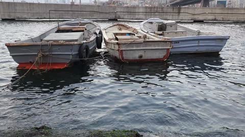 Rare video of the sea istanbul