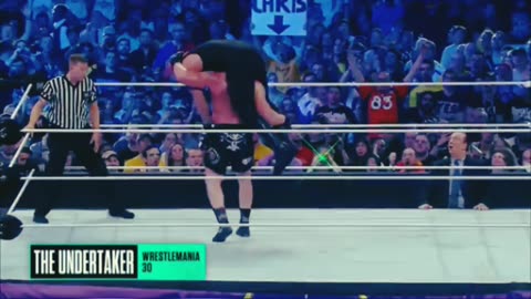 Undertaker amd brock lesnar fight