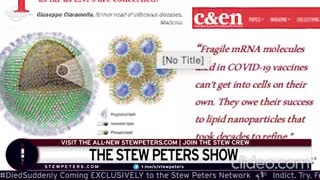 Stew Peters And Karen Kingston Say There's Proof The Covid Vaccine Is A Nano-Weapon Parasite