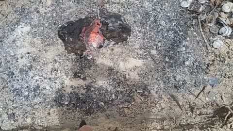 Air Compressor Stump Burning