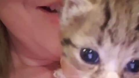 Rescue Kittens Negans sweet side