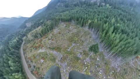 Tree house - Hope BC🇨🇦