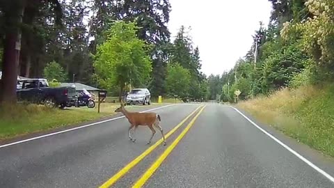 Whidbey Roads, early 2023